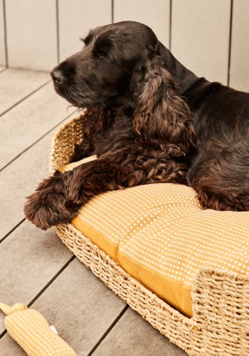 KAVE HOME Fliicker hundekurv, oval - naturlig sjgress (80x45)
