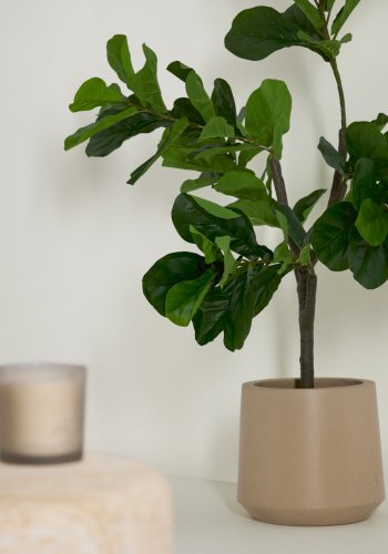KAVE HOME Ficus kunstig 150 cm