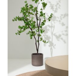 Enkianthus kunstigt tr� med sort potte