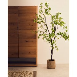 Enkianthus kunstigt tr� med sort potte