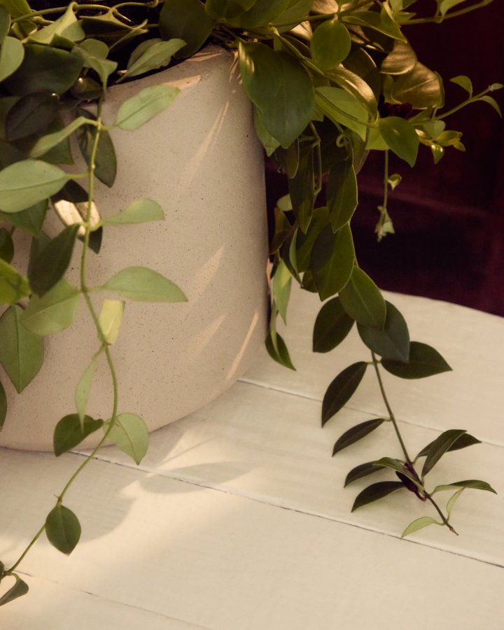 KAVE HOME Calun krukke, rund - beige cement (�32)