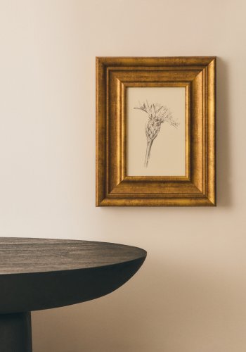 KAVE HOME Yalira billede - botanisk illustration og antik guld tr�ramme (41x33)