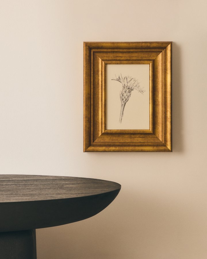 KAVE HOME Yalira billede - botanisk illustration og antik guld tr�ramme (41x33)