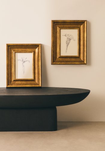 KAVE HOME Yalira billede - botanisk illustration og antik guld tr�ramme (41x33)