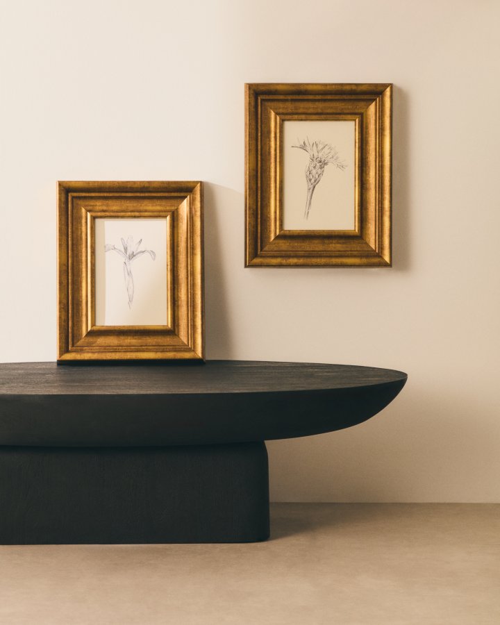 KAVE HOME Yalira billede - botanisk illustration og antik guld tr�ramme (41x33)