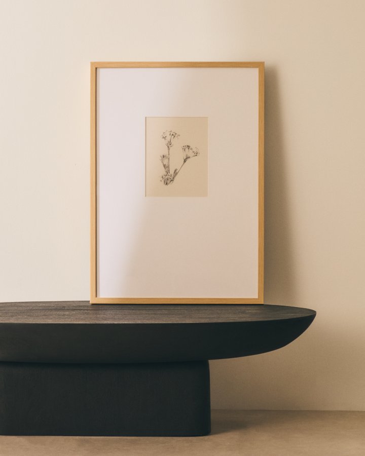 KAVE HOME Lirena billede, rektangul�r - botanisk illustration og ramme (70x50)