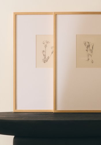 KAVE HOME Lirena billede, rektangul�r - botanisk illustration og ramme (70x50)