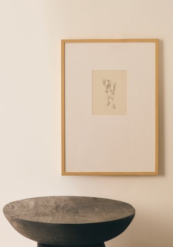 KAVE HOME Lirena billede, rektangul�r - botanisk illustration og ramme (70x50)