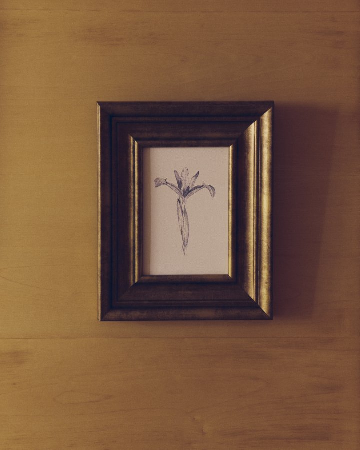 KAVE HOME Yalira billede - botanisk illustration og antik guld tr�ramme (41x33)