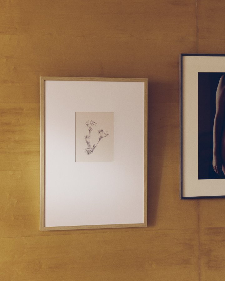 KAVE HOME Lirena billede, rektangul�r - botanisk illustration og ramme (70x50)