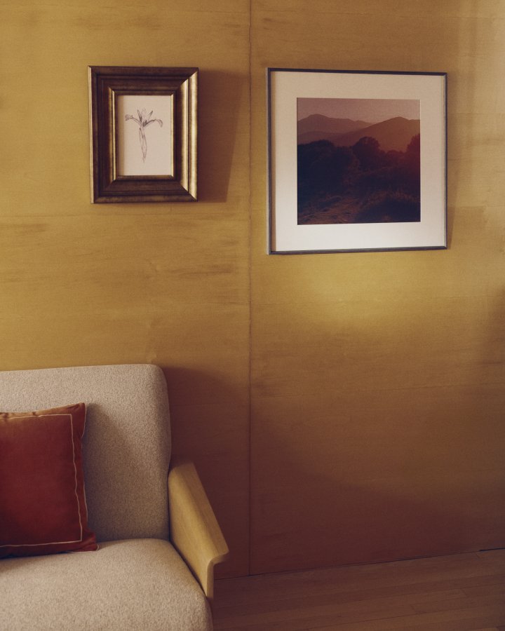 KAVE HOME Yalira billede - botanisk illustration og antik guld tr�ramme (41x33)