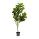 KAVE HOME Ficus kunstig 150 cm