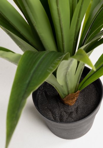 KAVE HOME Yucca kunstig plante