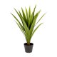 KAVE HOME Yucca kunstig plante