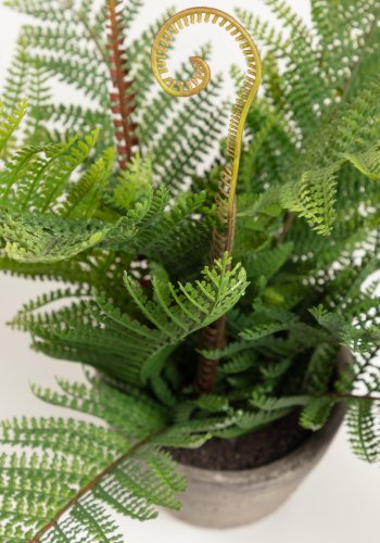 KAVE HOME Filicopsida kunstig plante