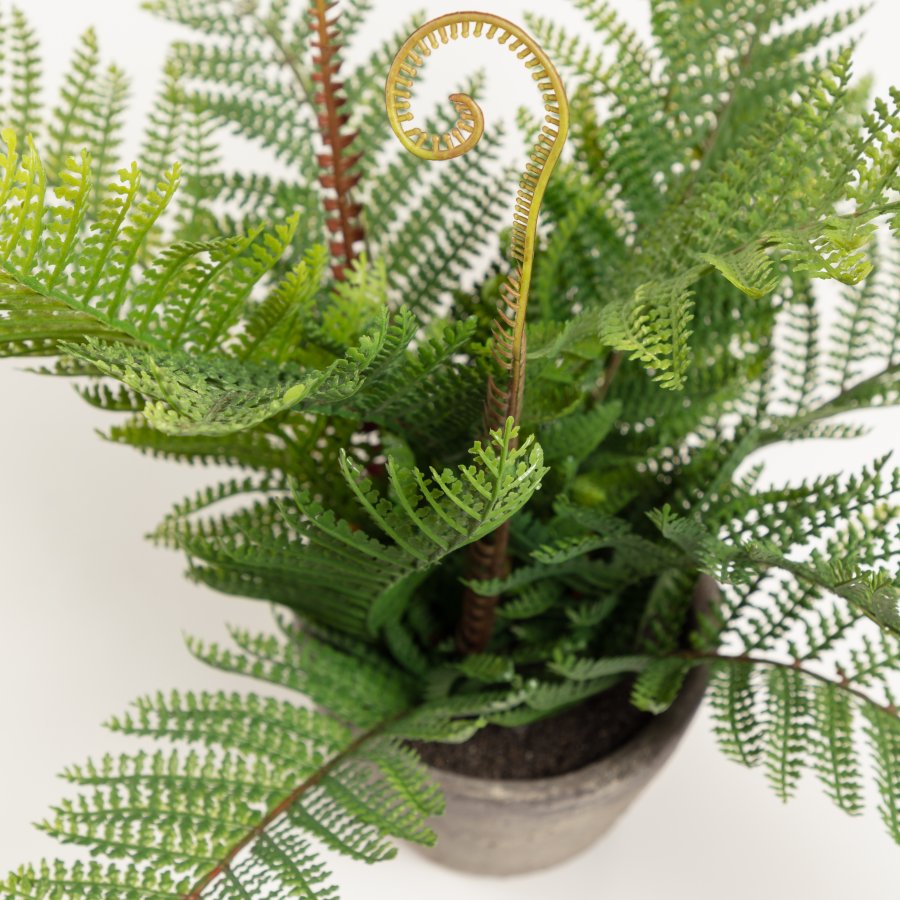 KAVE HOME Filicopsida kunstig plante