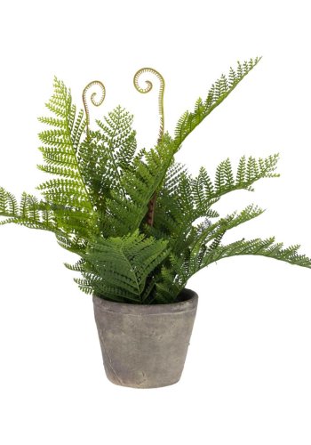 KAVE HOME Filicopsida kunstig plante