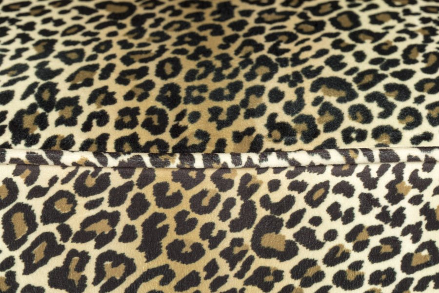 BOLD MONKEY Claws Out Esszimmerstuhl – mehrfarbiges Polyester mit Panther-Print und Messingstahl