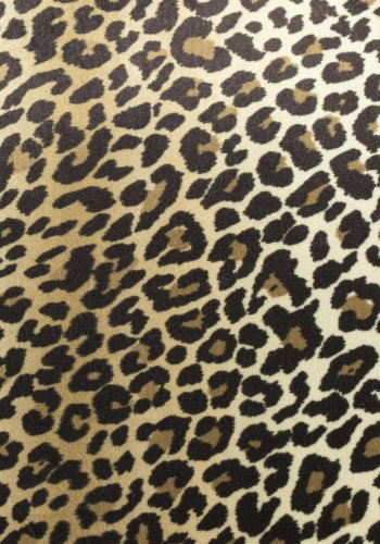 BOLD MONKEY Claws Out Esszimmerstuhl – mehrfarbiges Polyester mit Panther-Print und Messingstahl