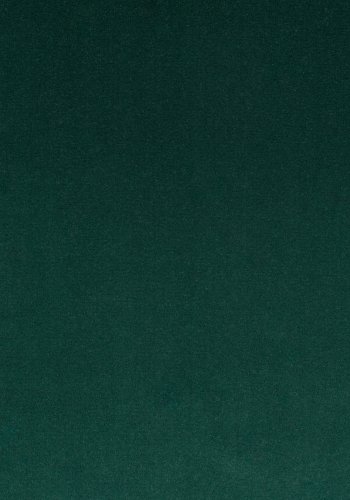 BOLD MONKEY So Curvy Loungesessel mit Armlehnen – dunkelgrüner Polyestersamt und goldener Stahl