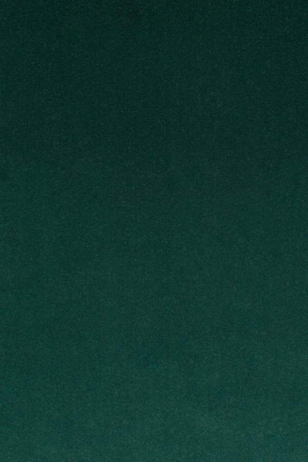 BOLD MONKEY So Curvy Loungesessel mit Armlehnen – dunkelgrüner Polyestersamt und goldener Stahl