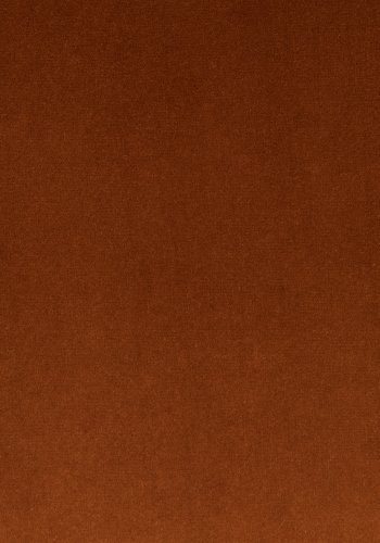 BOLD MONKEY So Curvy Loungesessel, mit Armlehnen – orangefarbener Samtpolyester und goldener Stahl