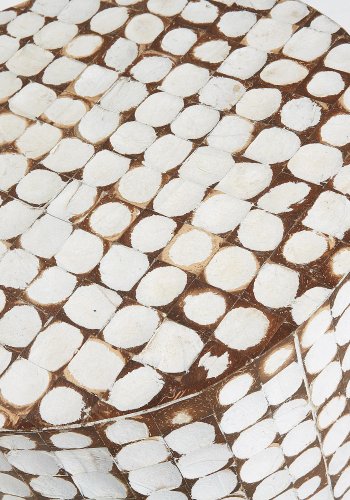 KAVE HOME Necoco sidebord i heltre mangotre og kokosnttskall  40 cm