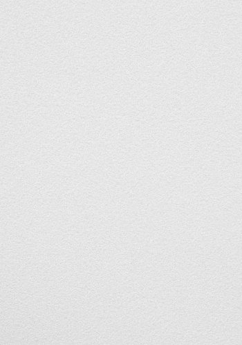 KAVE HOME Ania hagestol, med armlener - hvit polypropylen