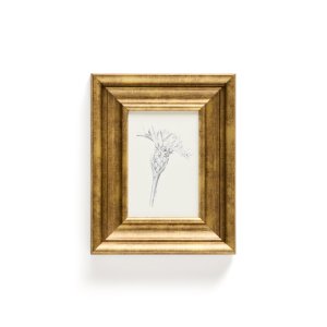 KAVE HOME Yalira billede - botanisk illustration og antik guld tr�ramme (41x33)
