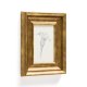 KAVE HOME Yalira billede - botanisk illustration og antik guld tr�ramme (41x33)