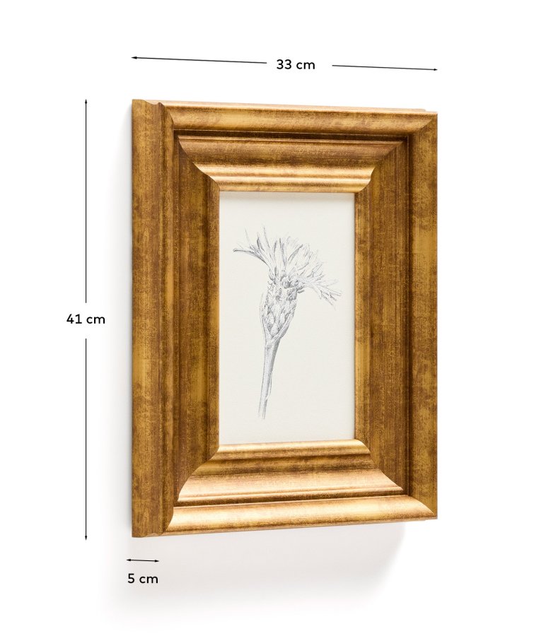 KAVE HOME Yalira billede - botanisk illustration og antik guld tr�ramme (41x33)