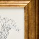KAVE HOME Yalira billede - botanisk illustration og antik guld tr�ramme (41x33)