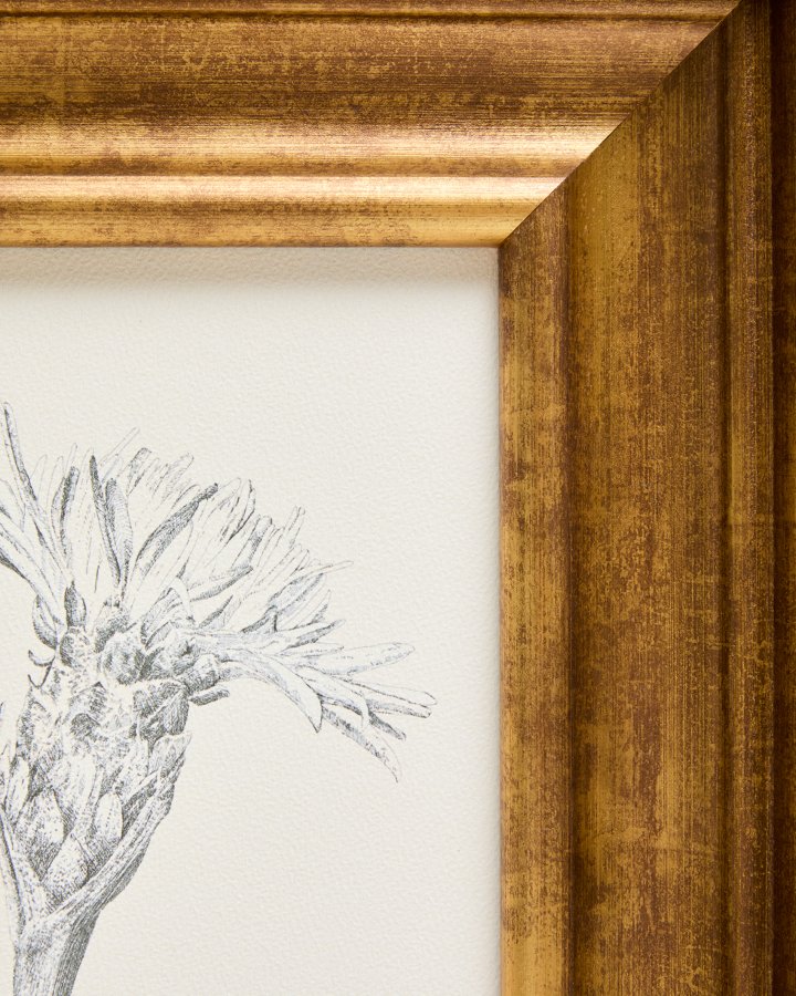 KAVE HOME Yalira billede - botanisk illustration og antik guld tr�ramme (41x33)