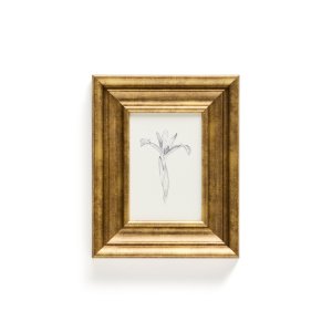 KAVE HOME Yalira billede - botanisk illustration og antik guld tr�ramme (41x33)