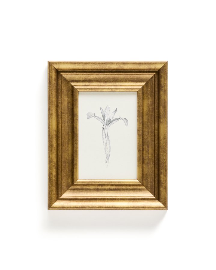 KAVE HOME Yalira billede - botanisk illustration og antik guld tr�ramme (41x33)