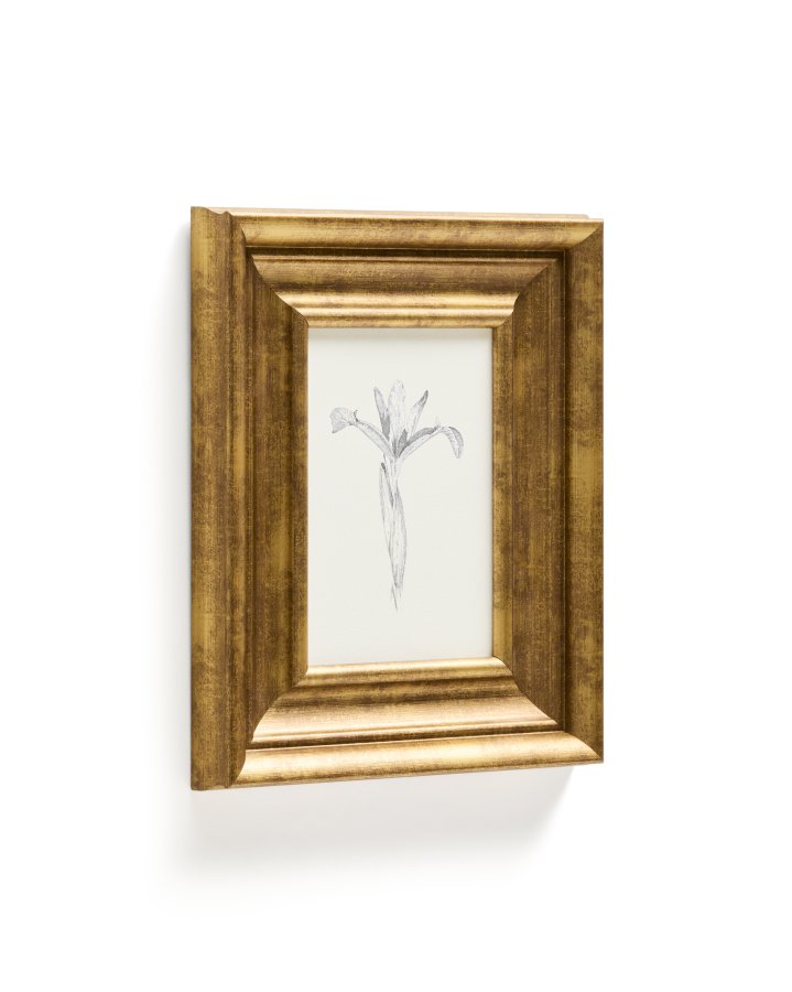 KAVE HOME Yalira billede - botanisk illustration og antik guld tr�ramme (41x33)