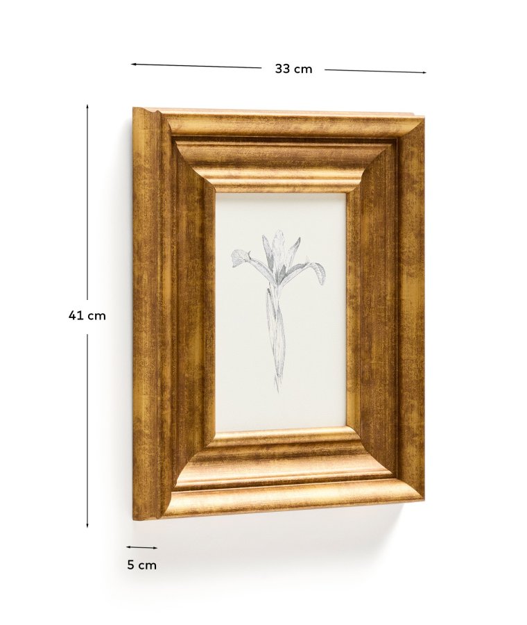 KAVE HOME Yalira billede - botanisk illustration og antik guld tr�ramme (41x33)
