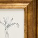 KAVE HOME Yalira billede - botanisk illustration og antik guld tr�ramme (41x33)