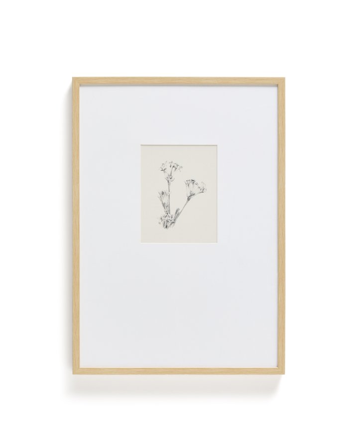 KAVE HOME Lirena billede, rektangul�r - botanisk illustration og ramme (70x50)