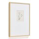KAVE HOME Lirena billede, rektangul�r - botanisk illustration og ramme (70x50)
