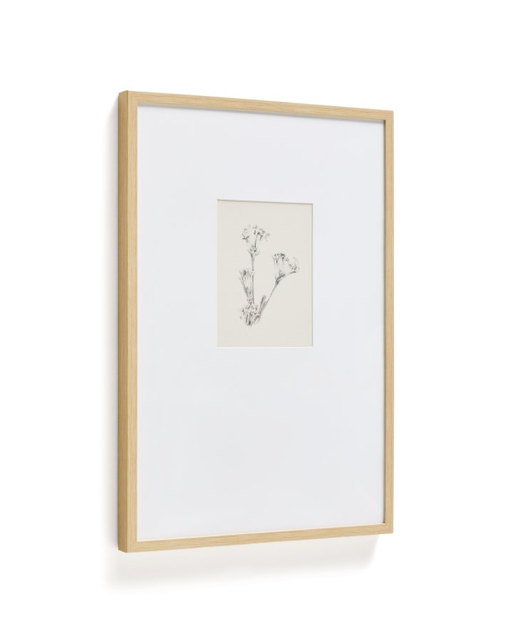 KAVE HOME Lirena billede, rektangul�r - botanisk illustration og ramme (70x50)