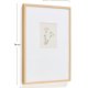 KAVE HOME Lirena billede, rektangul�r - botanisk illustration og ramme (70x50)