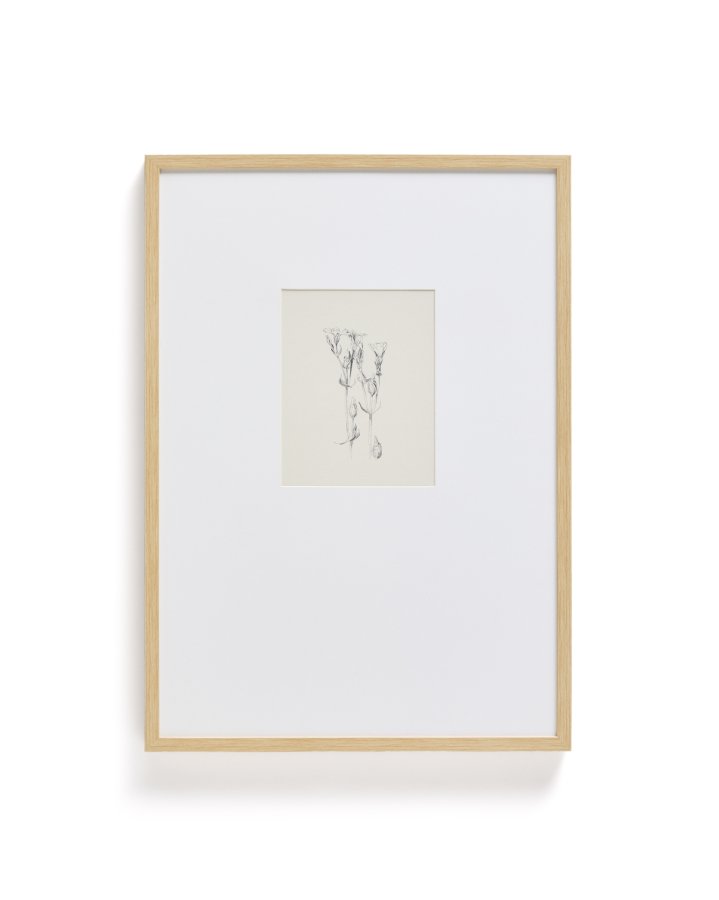 KAVE HOME Lirena billede, rektangul�r - botanisk illustration og ramme (70x50)