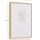 KAVE HOME Lirena billede, rektangul�r - botanisk illustration og ramme (70x50)