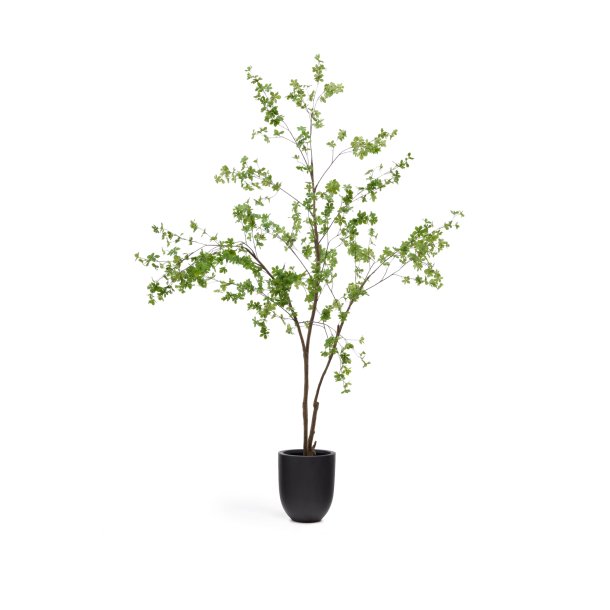 Enkianthus kunstigt tr� med sort potte