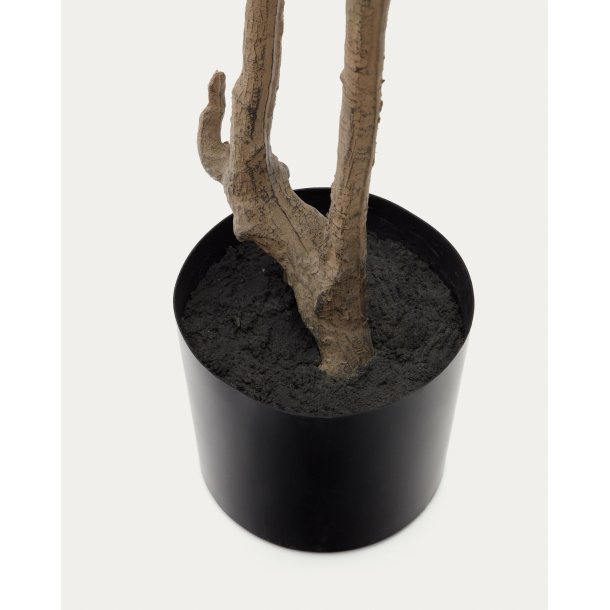 Enkianthus kunstigt tr� med sort potte