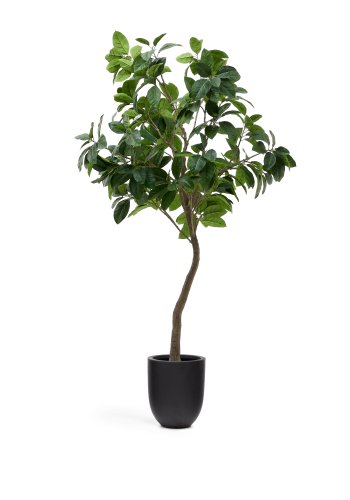 KAVE HOME Kunstig ficus i svart potte 210 cm