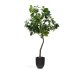 KAVE HOME Kunstig ficus i svart potte 210 cm
