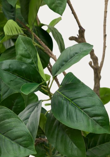 KAVE HOME Kunstig ficus i svart potte 210 cm