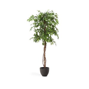 KAVE HOME Kunstig Ficus tr - grn plast i sort potte (H:180cm)